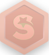 Loyalty Level Icon